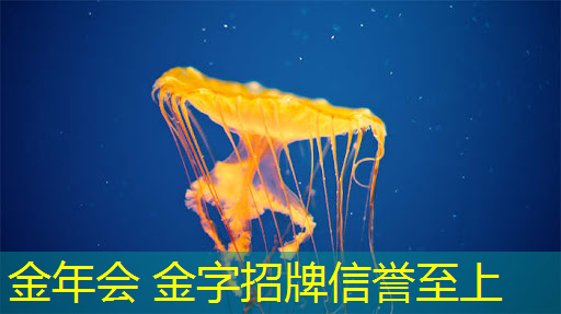 jinnian金年会：3d闯关僵尸游戏推荐