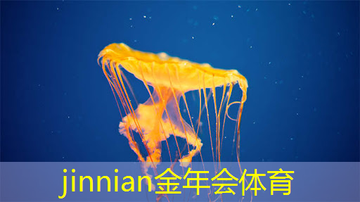 金年会首页：卖菜小程序小游戏